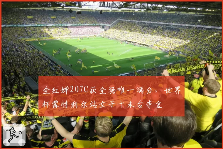 全红婵207C获全场唯一满分,世界杯蒙特利尔站女子十米台夺金